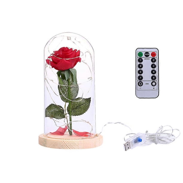 Red Silk Rose with USB LED Copper Wire String Light Preserved in Glass Dome on Wooden Base with for Valentine(Beige)