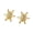 Golden, variant on Star Stud Earrings Women Rhinestone Star Ear Studs Minimalist Sparkling Studs Daily Wear Party Jewelry Gift for Her