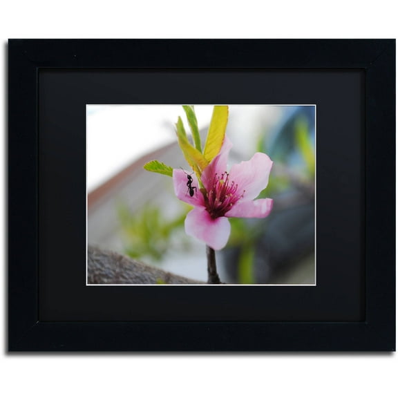 Trademark Fine Art "Expressive Individuality" Canvas Art by Monica Mize, Black Matte, Black Frame