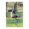 thumbnail image 4 of Ninja Climbing Net, 4 of 4