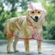 thumbnail image 3 of Abrigo impermeable para perros y gatos pequeños, con capucha, ajustable, en PVC, transparente y ultraligero borde rosa M Kuyhfg Bienvenido a Kuyhfg, 3 of 4