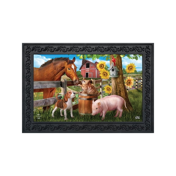 Briarwood Lane Summer Doormat 30x18 Indoor Outdoor Making Friends For Summer Doormat