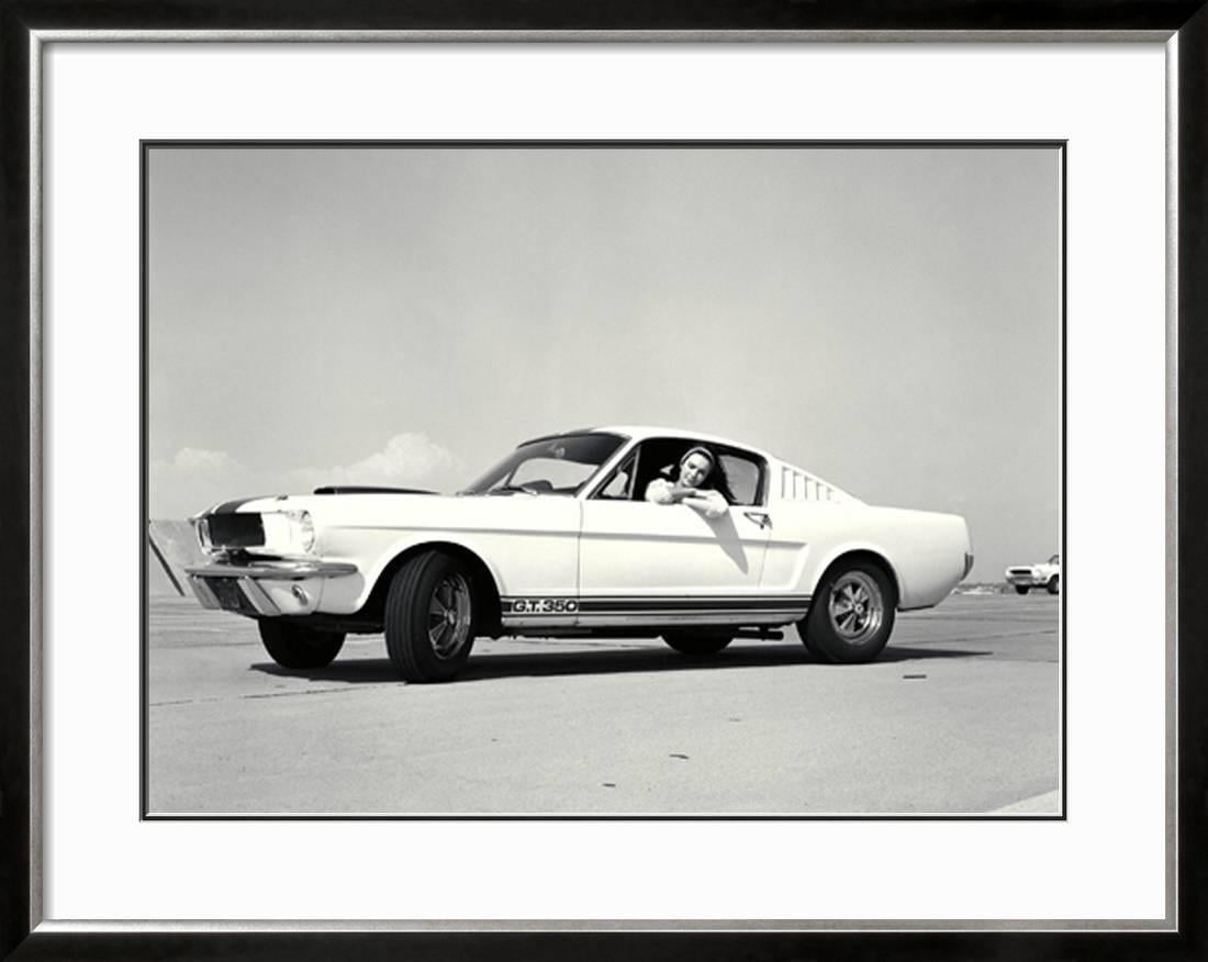 Shelby Ford Mustang GT 350 3.2 Wall Art Canvas Picture Print