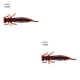 thumbnail image 4 of Wosthever 10 Uds. De cebos de insectos de simulación, señuelos de pesca portátiles, cebos de insectos, cebos de pesca portátiles Type3 NO3, 4 of 6