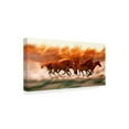 thumbnail image 2 of Trademark Fine Art 'Blazing Herd II' Canvas Art by David Drost, 2 of 4
