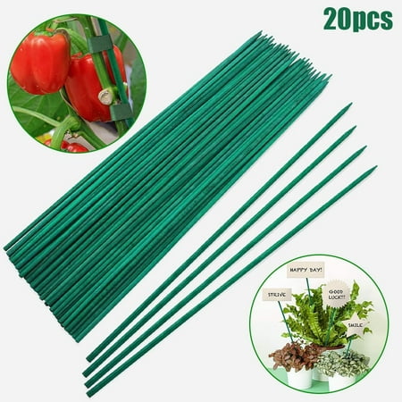 Ruibeauty 20Pcs 16inch Garden Wood Plant Stakes Green Bamboo Sticks Sturdy Floral Plant Support Stakes Wooden Wooden Sign Posting Garden Sticks