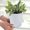 White, variant on White ABS Plastic Flower Pots with Saucers | Set of 4 Wavy Rim Planters for Succulents, Herbs & Small Plants | Indoor Outdoor Balcony Garden Containers