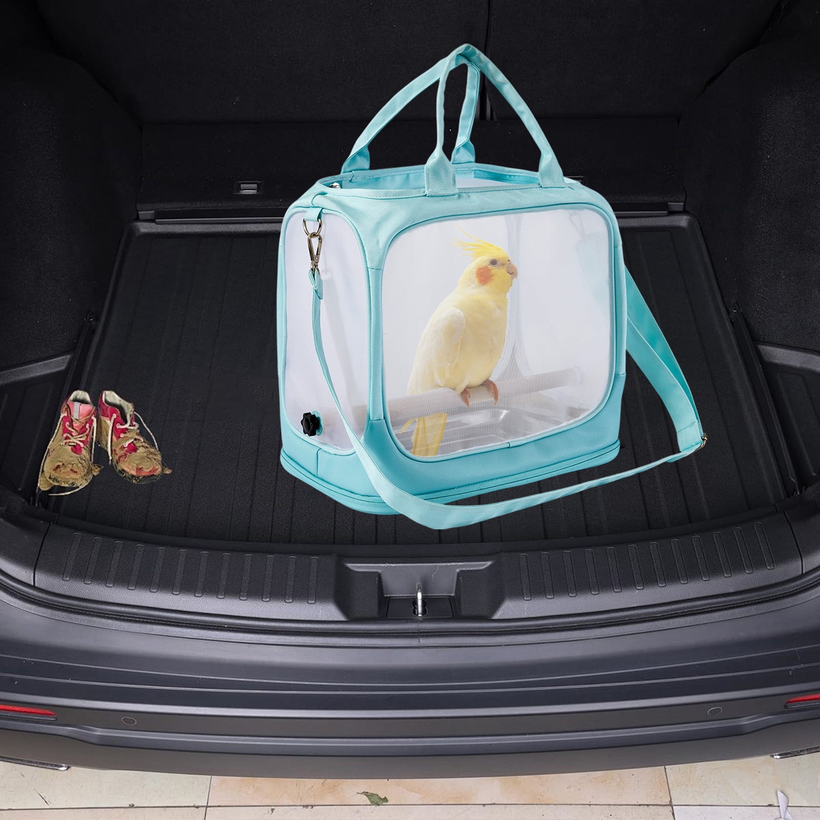 RBCKVXZ Birds Travel Cage, Portable Small Birds Parrots Parakeet Carrier with Standing Perchs ( Metal Tray), Side Accesss Window Foldable, Mesh Windows, Mint Green