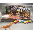 thumbnail image 2 of Juguete de conejillo de indias con forma de lagarto Totoro, campana, pelota, ventosa para mascotas, caja de juguetes de plástico, 2 of 5