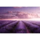 thumbnail image 3 of MOON.QG Fondo de fotografía de campo de granja de primavera, paisaje de pastizales con girasoles, fondo para sesión fotográfica de fiesta, decoración personalizada, accesorios para fotos, 3 of 5