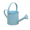 thumbnail image 1 of stanreset Arrosoir Extérieur en Métal pour Enfants Mini Bouteille d'Arrosage avec Poignée Mini Jardin, 1 of 4