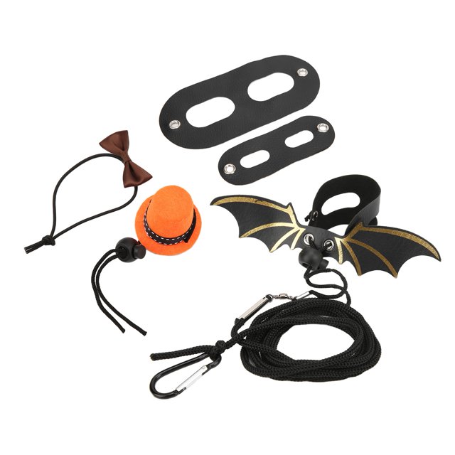 Rdeghly Reptile Lizard Leash Harness Set, Lizard Leash Harness Set Wide Application Reliable Material For Small Pets For Amphibians For Lizards