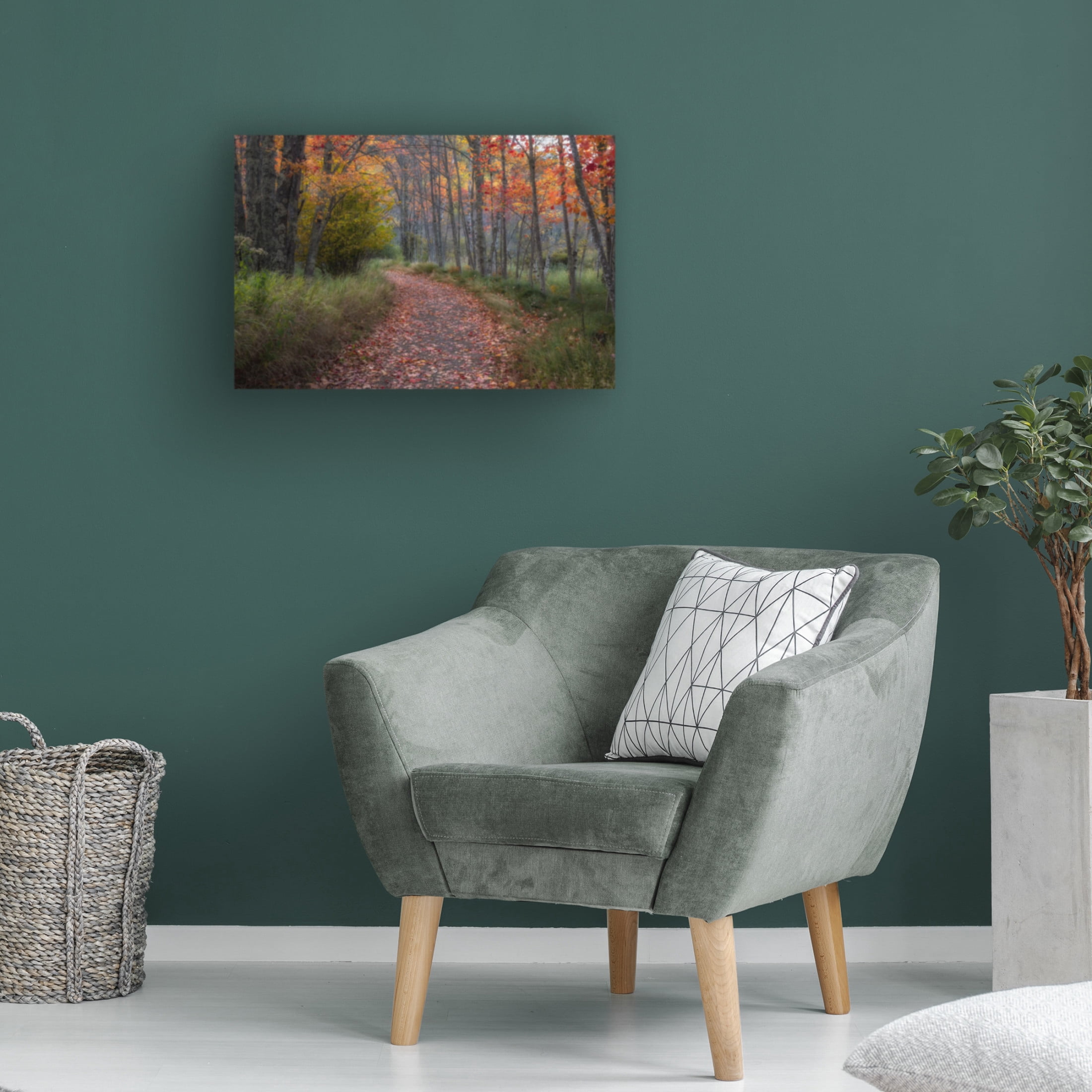 Trademark Fine Art Danny Head  Autumn Drive II Canvas Wall Art