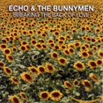 thumbnail image 3 of Breaking The Back Of Love (CD), 3 of 4