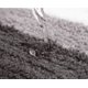 thumbnail image 5 of Estera absorbente del pie de la bañera del cuarto de baño azul de los 40*60cm ER, 5 of 5