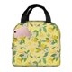 thumbnail image 1 of Easygdp Lemon (2) Bolsa Térmica Premium - Tela Oxford Impermeable, Gran Capacidad, Bolsillo Frontal, Unisex para Trabajo, Escuela, Actividades al Aire Libre y Picnics, 1 of 8