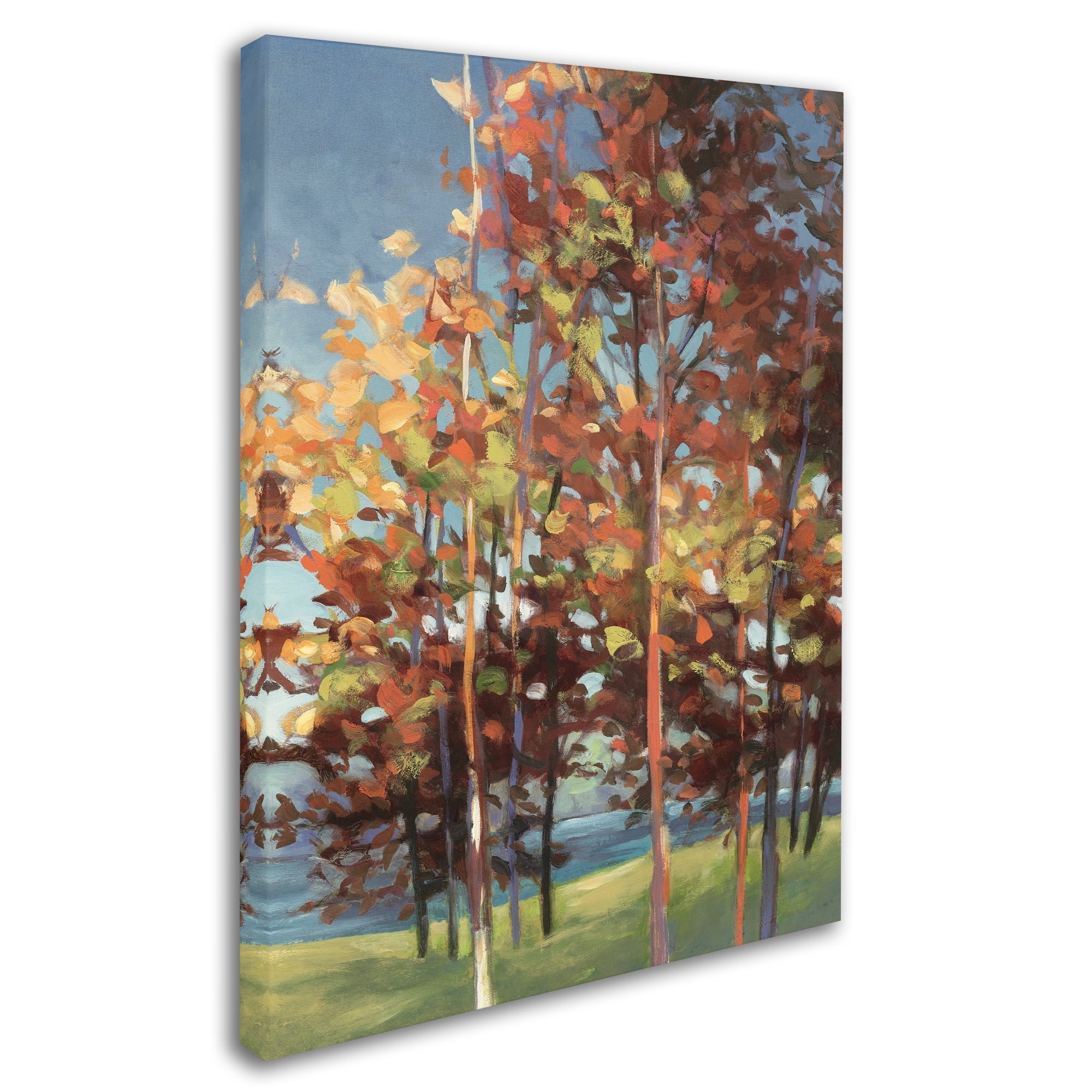 Trademark Fine Art 'Kaleidoscope III' Canvas Art by Julia Purinton