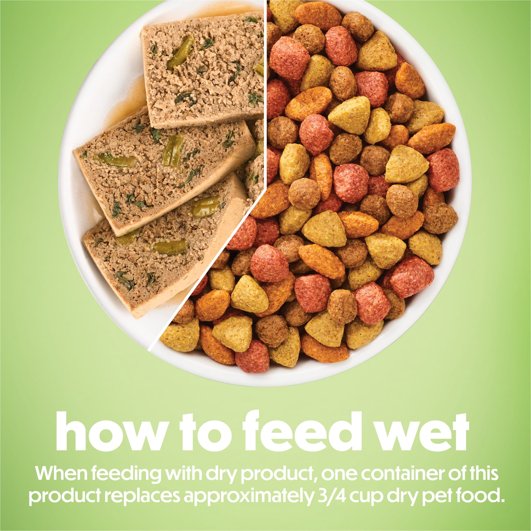 Purina Beneful Freshly Prepared Classics Salmon Flavor Wet Dog Food, 9.5 oz Carton