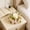 Multicolor, variant on Spring And Summer Artificial Flower Garlands Mini Floral Wedding Candle Ring Wedding Wreath Table Centerpiece Party Home Door Decoration W