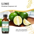 thumbnail image 4 of EUQEE Lime Fragrance Oils for Candle Making,2PCS Aromatherapy Oils for Skin,Diffusers,Home Care,Essential Oil for Humidifier Laundry,Soap Making and More(60mL), 4 of 7