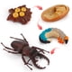 thumbnail image 2 of Ciclo de vida de Montessori: 4 partes, animales, insectos, naturaleza, juguetes educativos dientes traseros, 2 of 7