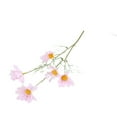 thumbnail image 2 of Sunjoy Tech 1 Branch Artificial Flower Realistic Looking Romantic 5 Forks 5 Heads Simulation Chamomile Bouquet Photography Prop, 2 of 8