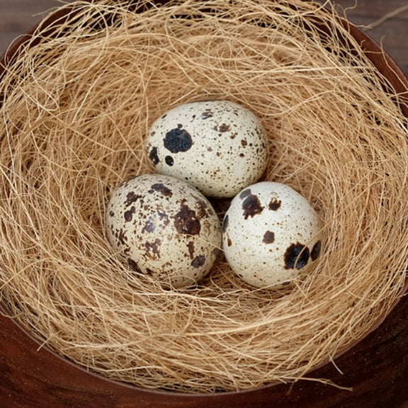 UPKOCH Bird's Nest Breeding Mat Pet Bedding Pad Chicken Nest Pet Cushion Palm Fiber Pet Nesting Supply Bed Linings Light Brown