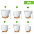thumbnail image 2 of FIASON 6 Pack Plastic 5/5.5/6/6.5/7/8 Inch White with Brown Self Watering Plant Pots,Include Watering Lip,Drainage Holes and Removable Saucer,Flower Pots for Indoor Outdoor Plants, 2 of 10