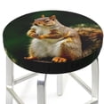 thumbnail image 3 of Naloa Squirrels Eating Peanuts On The Tree Round Bar Stool Cushion Cover 12-14 inch, Fits Kitchen, Office, Restaurant Chairs - {sizeName}14 inch, 3 of 7