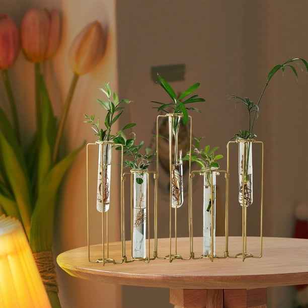 Jarrón de flores,Jarrón de flores hidropónico con marco geométrico decorativo,Jarrón de hierro y vidrio para decoración del hogar. Arreglo floral.,Maceta Contenedor Hogar Boda San