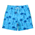 thumbnail image 2 of MADHERO Men's Swim Trunks with Lining Quick Dry Summer Funny Print Swimswear Beach Shorts for Men Blue Coconut Tree Size xl, 2 of 7