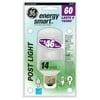 GE Incandescnet Appliance Light Bulb, 40 Watts, 130V, T8 Light Bulb (1 Pack)
