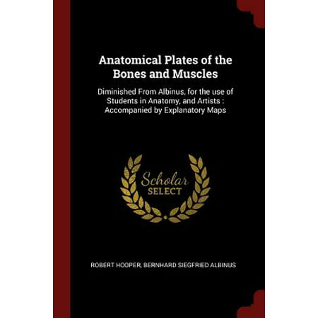 Anatomical Plates of the Bones and Muscles : Diminished from Albinus, for the Use of Students in Anatomy, and Artists: Accompanied by Explanatory (Best Food For Strong Bones And Muscles)