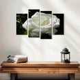 thumbnail image 2 of Elephant Stock Dewdrops On White Rose Wall Art - Horizontal Multi Panel Canvas - Living Room Wall Decor - Floral And Botanical Multi Panel - Black And White Decor - 24" x 14", 2 of 4