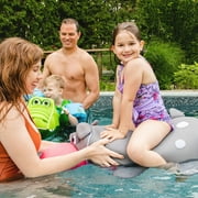 Big Joe Pool Petz Large Hippo Animal Pool Toy Float, Hippo Shape Mesh, 3 feet
