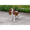 thumbnail image 3 of Hi-Line Gifts King Charles Spaniel Dog Outdoor Garden Statue - 16.25" - Brown and White, 3 of 8
