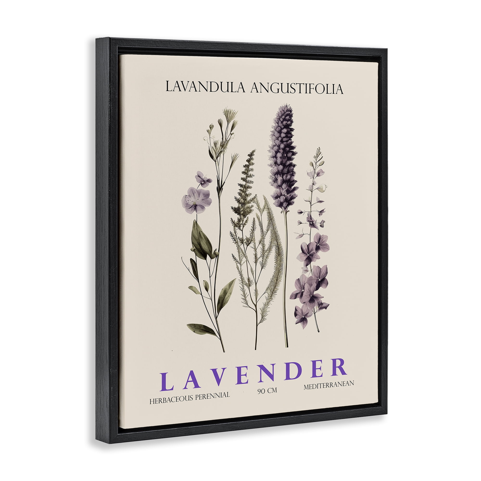 Stupell Industries Natural Lavender Bundle Black Framed Floater Canvas Wall Art, design by Christopher Giampietro
