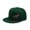 Blackish Green, variant on T-Rex Pattern Letter Embroidered Color Block Trucker Hat, Unisex Adjustable Breathable Cap for Vacation Travel Outdoor Daily Wear