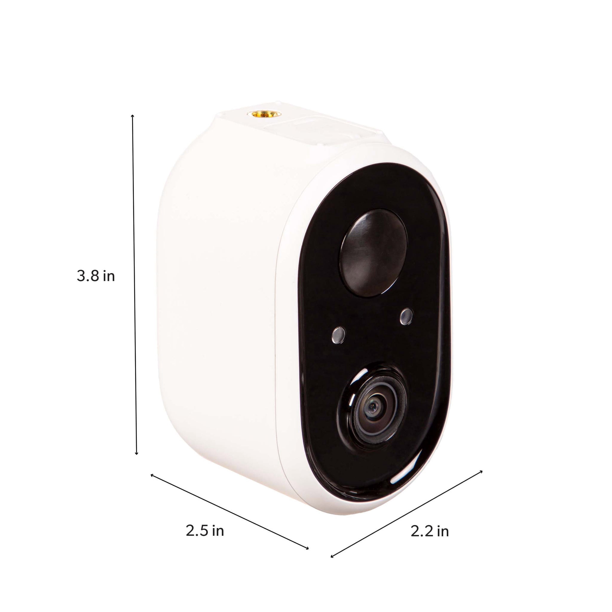 Evergreen Smart Camera Bird Feeder with Solar Panel