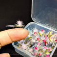 thumbnail image 1 of Señuelos de pesca Cola 10 unidades Cebos artificiales ligeros para panfish lubina y trucha, 1 of 8