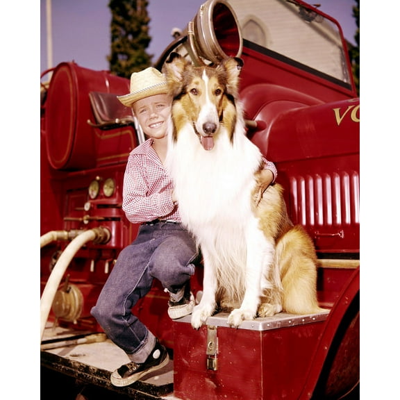 Lassie Featuring Jon Provost 24X36 Classic Hollywood Poster