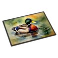 thumbnail image 1 of Carolines Treasures DAC3240MAT Tapis de Porte Colvert Unisexe de 18 x 27 Po, 1 of 1