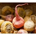 thumbnail image 6 of Organic Red Maca Powder, 0.25 Pounds — Non-GMO, Kosher, Raw, Vegan — by Food to Live, 6 of 8