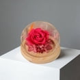 thumbnail image 7 of Preserved Real Flower Glass Dome Eternal Carnation Rose Display For Home Tabletop Decor Gift, 7 of 7