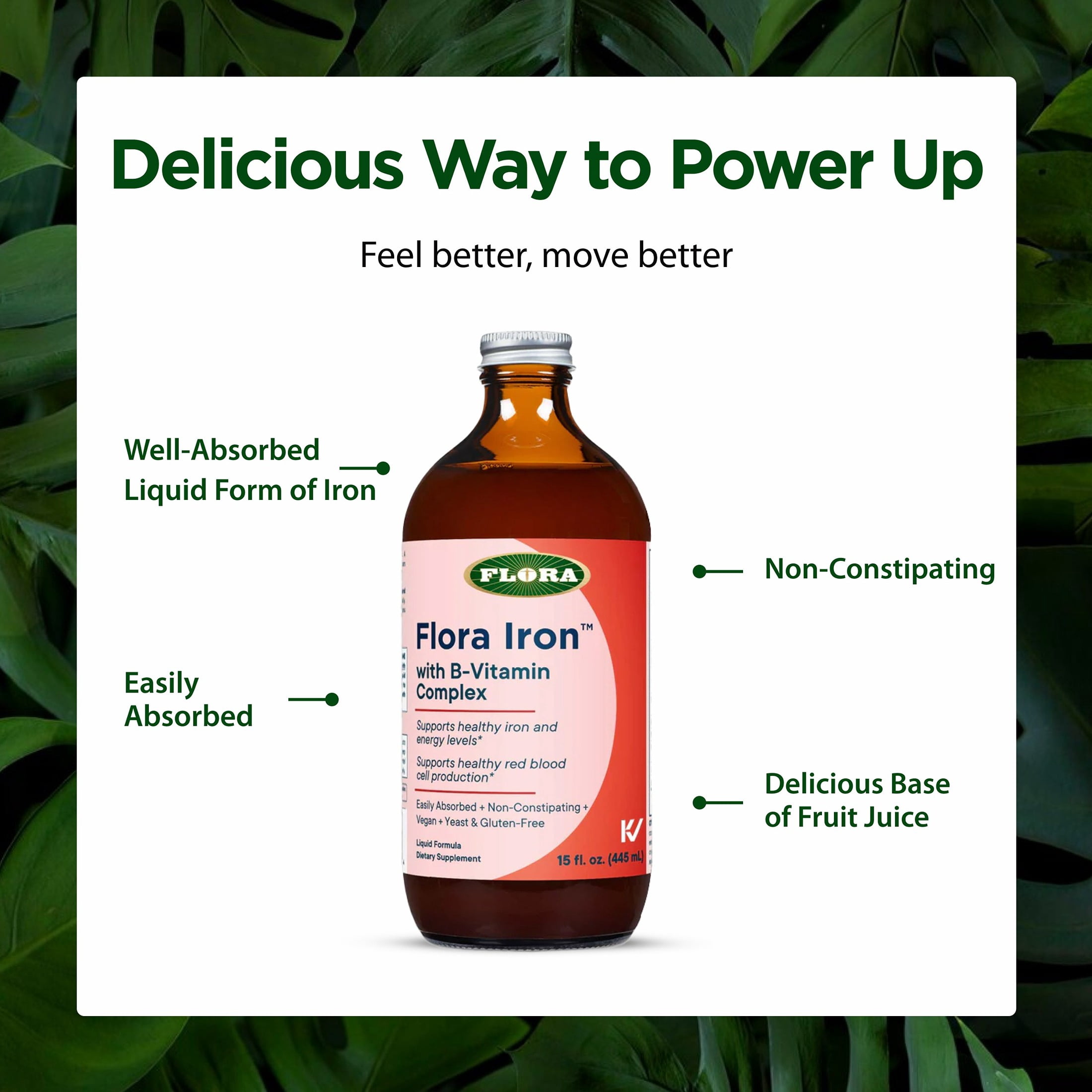 Flora Iron with B-Vitamin Complex - Helps Maintain Healthy Iron Levels - Non-Constipating, Highly Absorbable - Vitamin-B & Liquid Iron - Vegan Supplement - Gluten Free, 15- fl oz. Glass Bottle