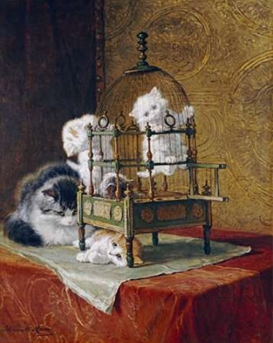 Caged Kittens Canva