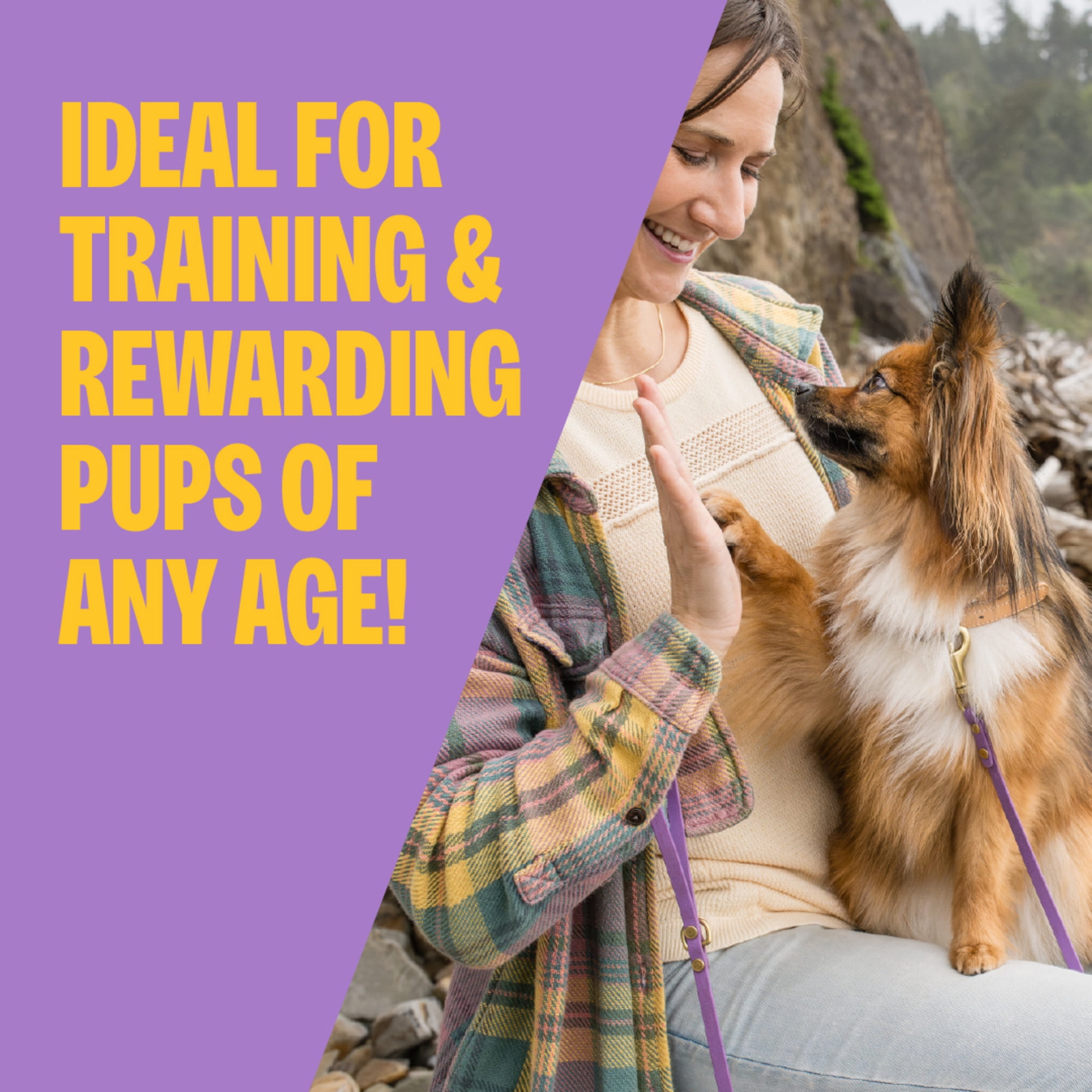 Wellness Puppy Treats, Natural, Training Treat, Grain Free, Soft Lamb & Salmon (3 Ounce bag)