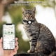 thumbnail image 3 of Adjustable Airtag Pet Cat Collars Gps Reflective Collar With Airtag Holder Breakaway Safety Buckle And Bell & Fishbone Pendant, 3 of 5