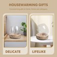 thumbnail image 4 of IFANLANDOR Versatile Small Fish Bowl Glass Container Easy To Clean for Plants and Decor, 4 of 8
