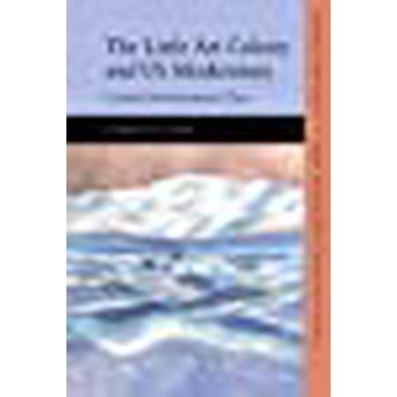 The Little Art Colony and US Modernism: Carmel, Provincetown, Taos (Modern American Literature and the New Twentieth Century)